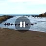 Viral Video Warga Nganjuk Gelar Ritual di Pantai Watu Ulo Jember, Ini Penjelasan Polisi 