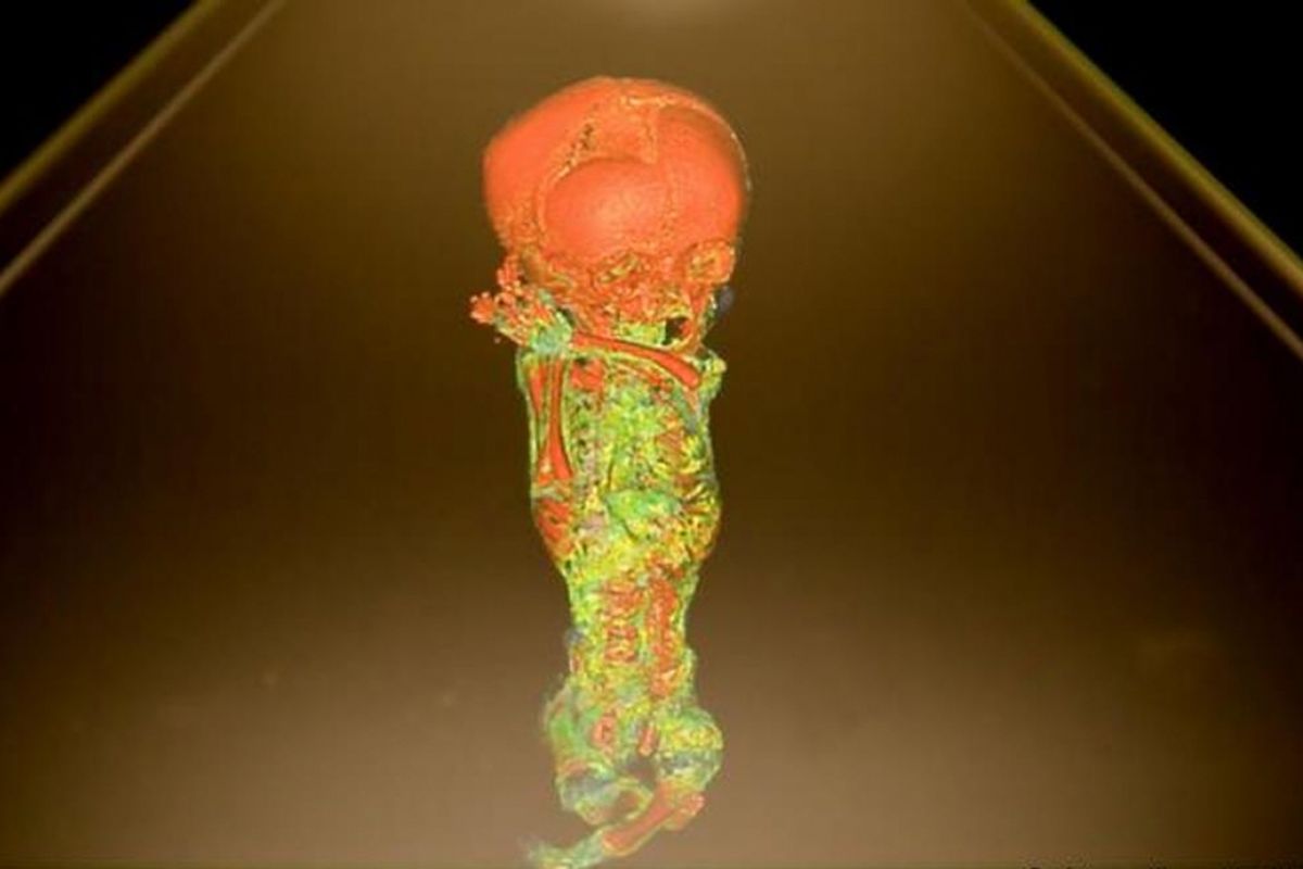 Mumi dilihat menggunakan hologram