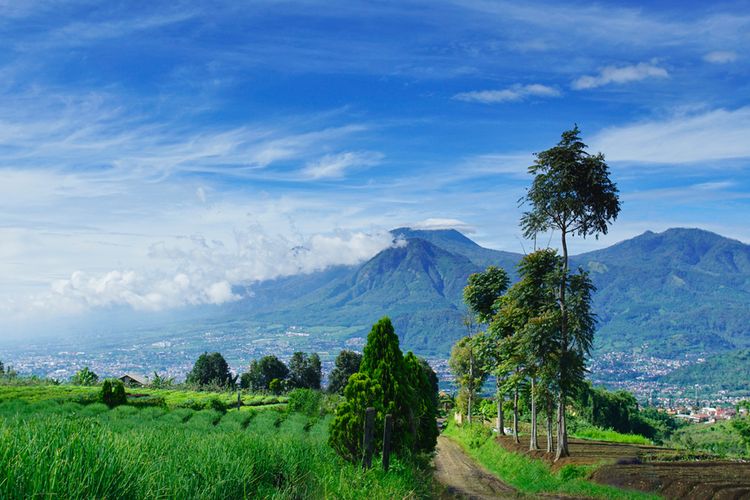Pemandangan Gunung Arjuno dari kejauhan.