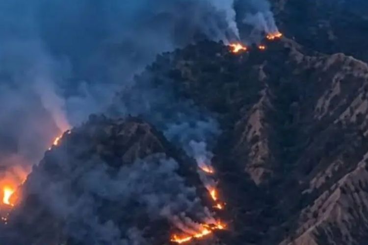 Hutan Lindung Gunung Nona Enrekang Terbakar 10 Hektare, Diduga dari Aktivitas Warga Bakar Ikan