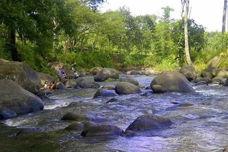 Wana Wisata Grape adalah tempat rekreasi di tepi hutan jati di Madiun, Jawa Timur.