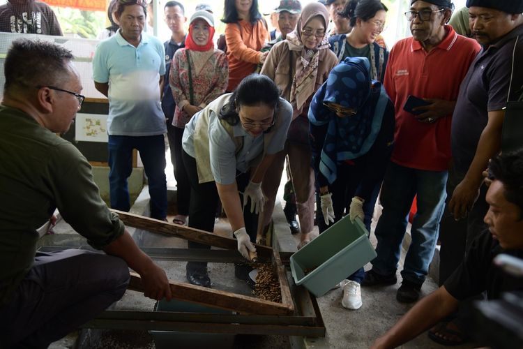 Wali Kota Semarang, Agustina Wilujeng saat melihat budidaya Maggot di Jabungan, Kota Semarang, Jawa Tengah.