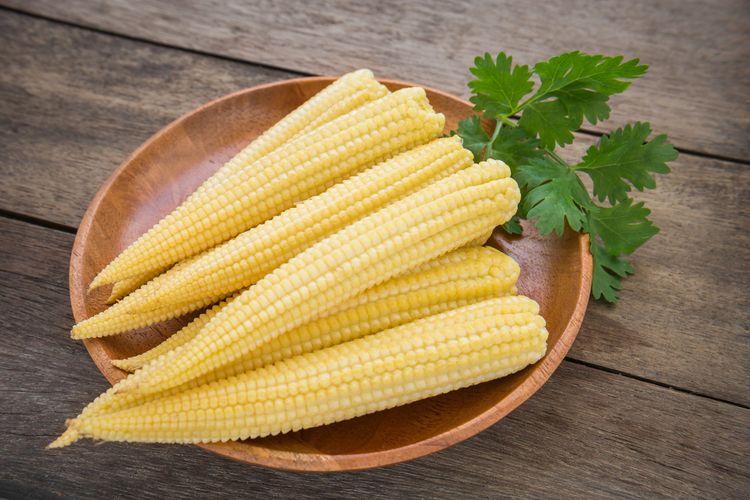 Ilustrasi efek samping jagung muda atau baby corn, jagung putren.