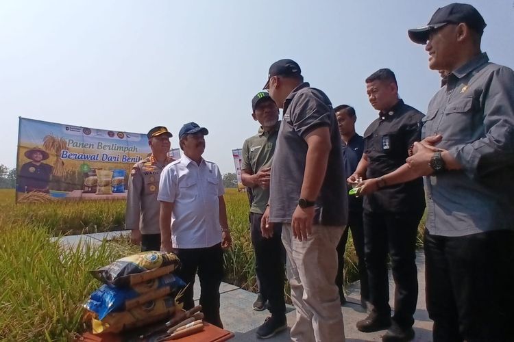 Panen Harapan Baru, Kisah Eks Napiter Bangun Masa Depan Lewat Pertanian