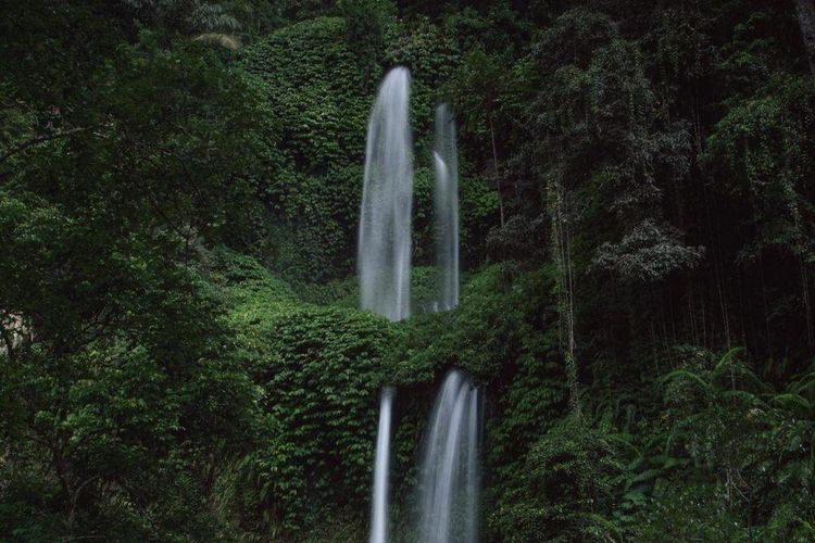 Air Terjun Tiu Kelep, Lombok Utara, NTB