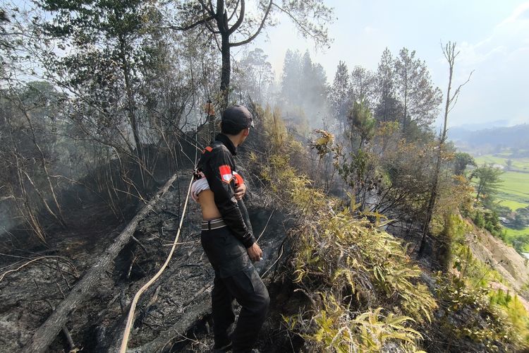 Kabut Asap Pekat Selimuti Mamasa, BMKG Sebut Ada Kiriman dari Papua hingga Kalimantan