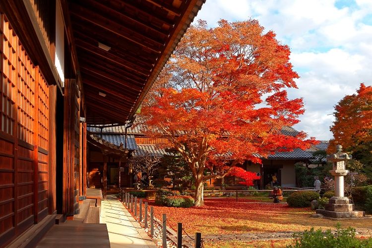 Halaman Kuil Genko-an di Kyoto, Jepang.