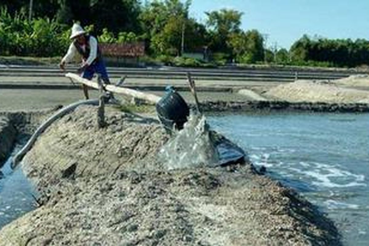 Seorang petani garam di Desa Lembung Kecamatan Galis Kabupaten Pamekasan sedang membuang air dari tambaknya.