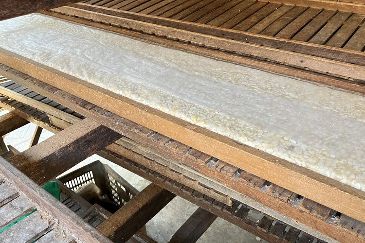 Di Balik Sepotong Tempe, Perjuangan Perajin di Surabaya Melawan Pelemahan Rupiah