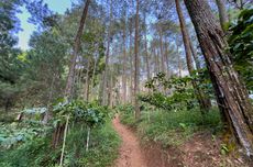 Kala Once Mekel Goda Piyu dan Fadly PADI Reborn yang Berbeda Kubu soal Royalti Musik...