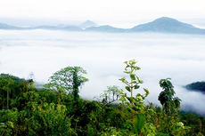 Bukit Banyon: Daya Tarik, Harga Tiket, Jam Buka, dan Rute