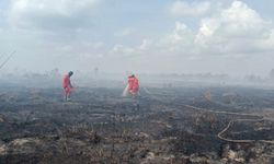 19 Kecamatan di Muara Enim Dinyatakan Rawan Karhutla