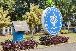 Cek Biaya Hidup Mahasiswa UI dan IPB per Bulan, Berapa untuk Kos dan Makan?
