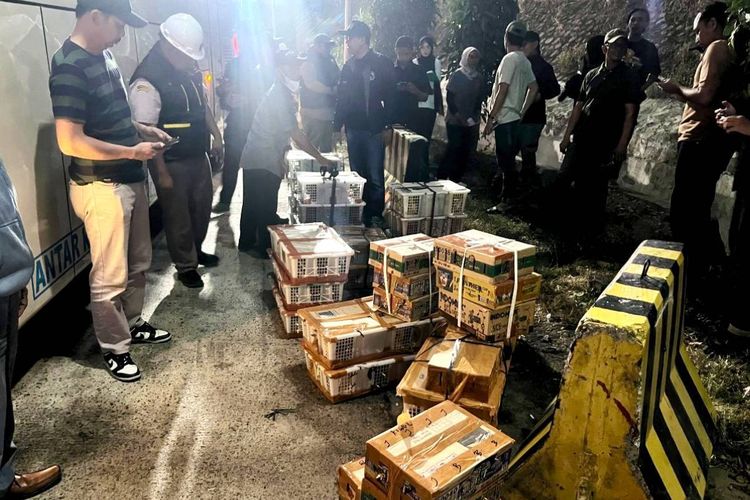 1.689 Burung Diangkut Tanpa Dokumen di Bakauheni, 57 Ekor Masuk Kategori Dilindungi