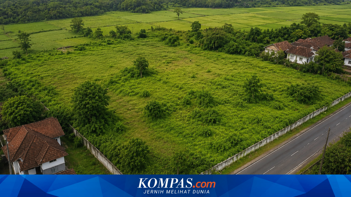 Kenapa Sertifikat Tanah Bisa Tumpang Tindih?