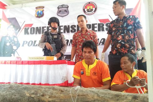 Tebang Kayu Jati Milik Perhutani untuk Perbaiki Rumah, Dua Warga Ditangkap