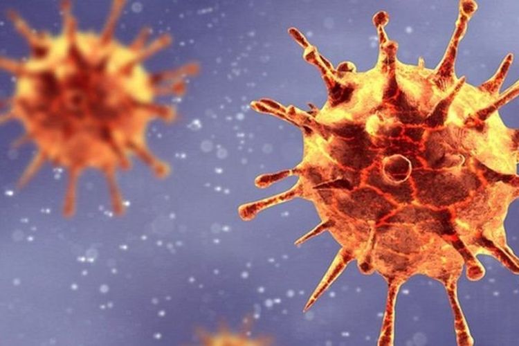 Varian baru virus corona yang ditemukan di Inggris memiliki mutasi pada bagian receptor-binding domain, yang digunakan virus untuk menginfeksi sel tubuh manusia.