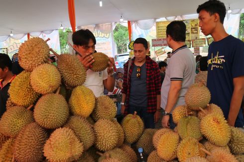 Ini Istimewanya Durian Bengkulu yang Bikin Geger Dunia Penerbangan