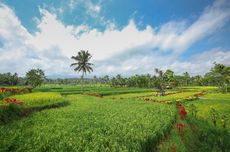 Kabareskrim Sebut 68 Anak Terpapar Ideologi Ekstrem, Mau Serang Sekolah Pakai Senjata