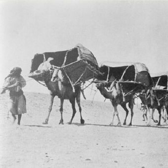 Karavan unta menuju ke Mekah, 1910. (Step Feed)