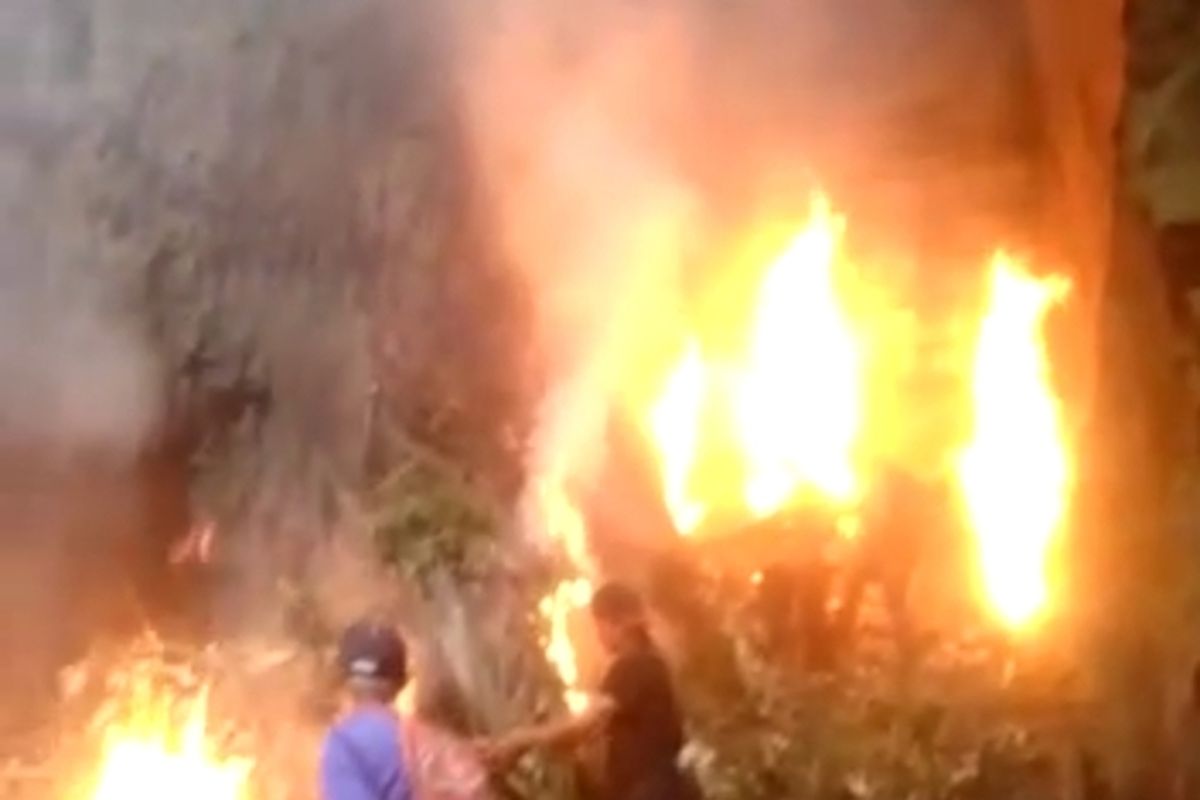 Warga membakar daun kering untuk di dalam jurang Curug Watu Segandul di Pedukuhan Nglambur, Kalurahan Sidoharjo, Kapanewon Samigaluh, Kabupaten Kulon Progo, Daerah Istimewa Yogyakarta. Daun kering dibakar untuk menciptakan asap yang bisa menjatuhkan kelelawar dalam lorong jurang. Kelelawar dikumpulkan untuk disantap. Ini tradisi warga pada musim kering sejak puluhan tahun lalu. Gambar merupakan tangkapan layar dari video kegiatan warga Nglambur.