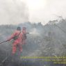 Dalam Sebulan, Luas Lahan yang Terbakar di Sumsel 32.496 Hektare