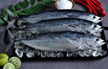 Ibu Hamil Disebut Perlu Hindari Makanan Laut agar Anak Tidak Autis ...