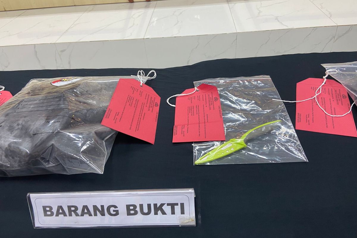 Barang bukti pisau buah yang diduga menjadi alat yang digunakan tersangka memotong tubuh korban mayat dalam koper menjadj tiga bagian, Senin (27/1/2025)