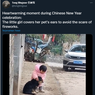 Viral, Video Gadis Kecil Menutupi Telinga Seekor Anjing Saat Ada Petasan di Dekatnya