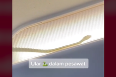 Video Viral Ular di Atas Kabin Penumpang, Pesawat AirAsia di Malaysia Mendarat Darurat
