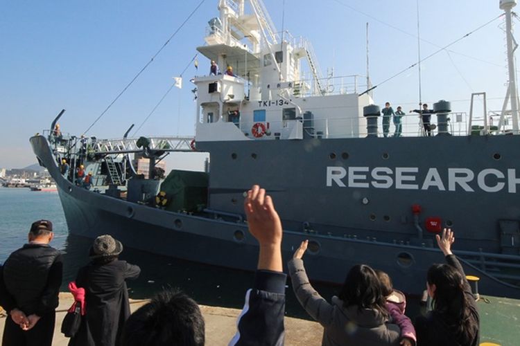 Foto yang diambil pada Desember 2015 ini memperlihatkan salah satu kapal pemburu paus Jepang meninggalkan pelabuhan Shimonoseki, prefektur Yamaguchi. Jepang dikecam karena melakukan perburuan dengan kedok melakukan riset ilmiah.