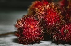 Buah Rambutan Bermanfaat untuk Apa? Berikut 10 Daftarnya…