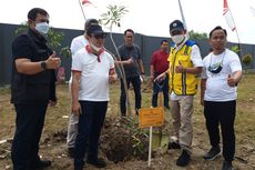 Bikin Penghuni Lebih Betah, Rusun ASN BBPJN Balikpapan Dihijaukan