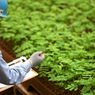 Isu ESG Krusial di Industri Pertambangan, Ini Upaya Antam Laksanakan Bisnis Berkelanjutan