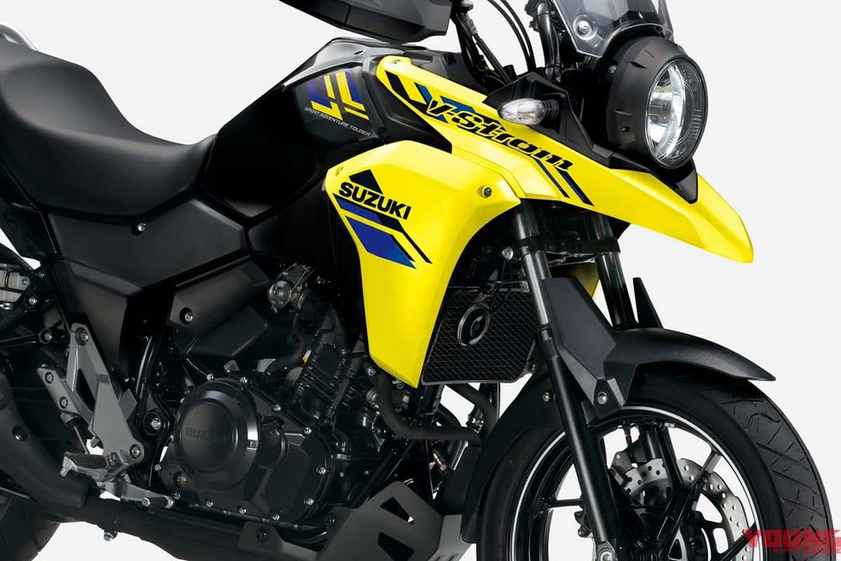 Suzuki V-Strom 250 model year 2024