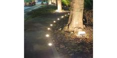 Percantik Taman Kota, Pemkot Semarang Anggarkan Rp 200 Juta untuk Flood Light 