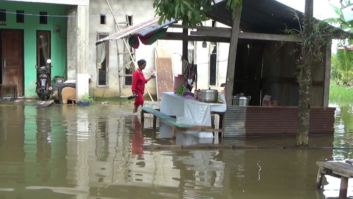 Banjir Mulai Surut, Warga Kota Palopo Butuh Penerangan karena Takut Buaya