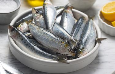 Ikan sarden yang menyehatkan