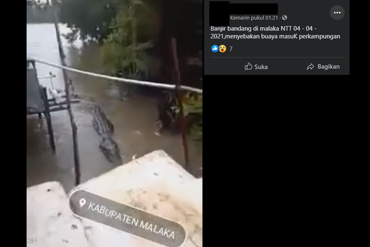 Langkah pertama reverse image search, ambil screenshot. Pada contoh ini ditampilkan unggahan Facebook yang mengeklaim seekor buaya memasuki sebuah desa saat banjir bandang melanda Kabupaten Malaka, NTT pada 4 April 2021.