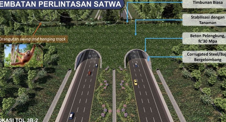 "Roadmap" Keanekaragaman Hayati IKN Meluncur Maret 2024