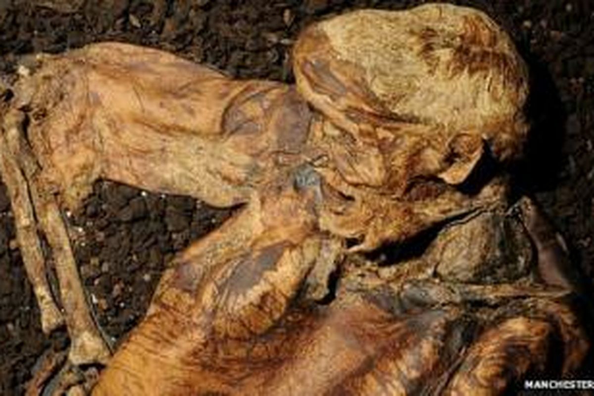 Kondisi mayat berusia 2.000 tahun ini masih utuh karena terendam dalam rawa-rawa gambut.