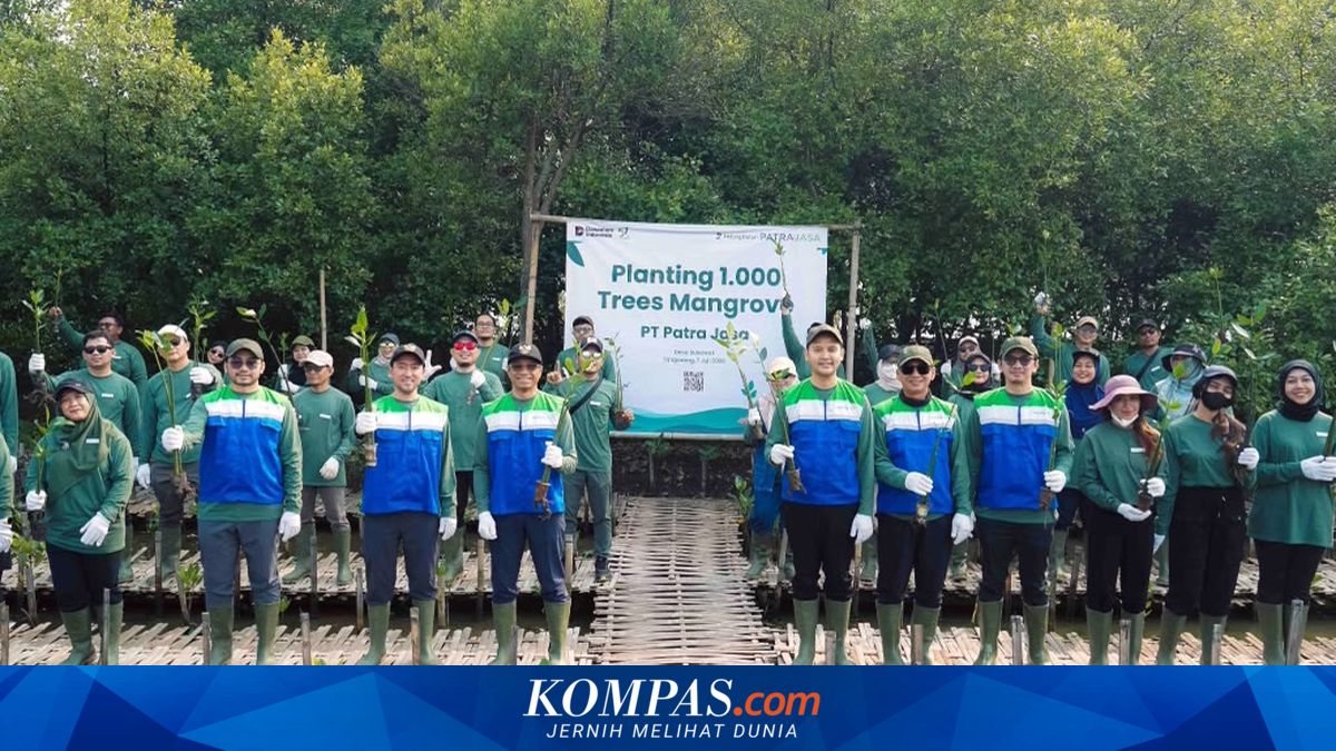Patra Jasa Tanam 1.000 Mangrove untuk Dukung Ketahanan Pesisir