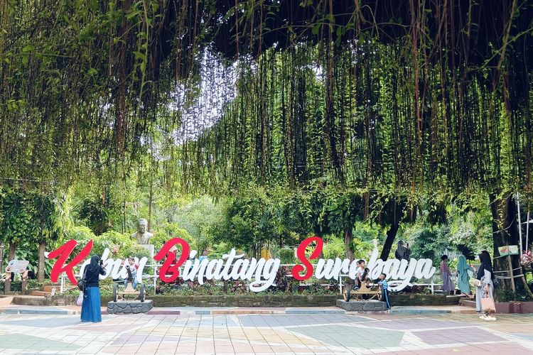 Ungkap Kasus Korupsi Kebun Binatang Surabaya, Kejati Jatim Tunggu Audit BPKP