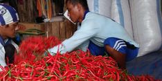 Hadapi Pandemi Covid-19, Kementan Gandeng Startup Pasarkan Hasil Panen Petani 