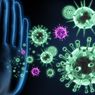 Apa Saja Fungsi Sistem Imun Tubuh Kita?