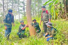 Macan Tutul Sanggabuana Kembali Mangsa 5 Ternak Warga di Karawang