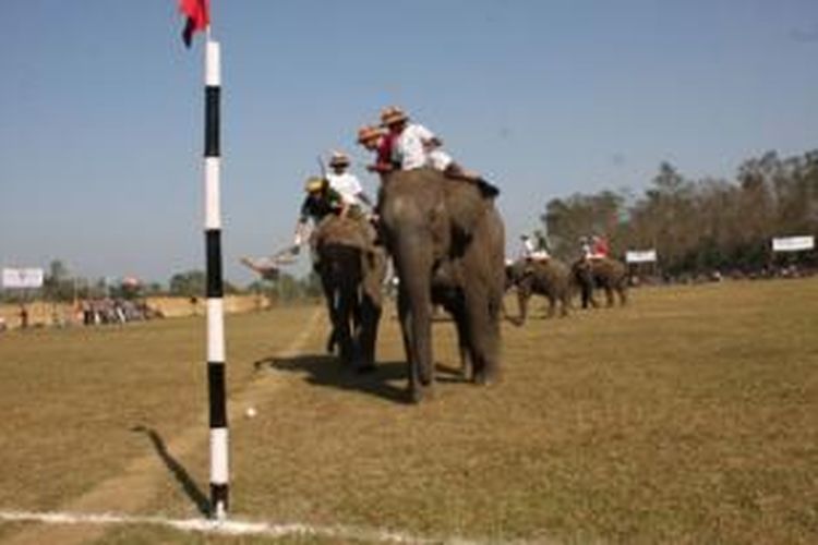 Polo gajah di Piala Raja Thailand.