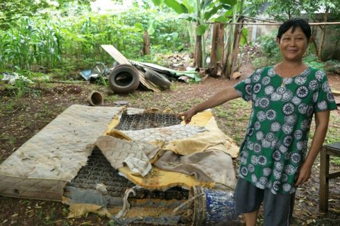 Sejak Awal Tahun, Damkar Tangsel Tangkap Hampir 50 Ular di Permukiman Warga