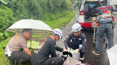 Kecelakaan di JLS Salatiga, Pengendara Motor Meninggal Usai Membentur Bak Truk Gandeng