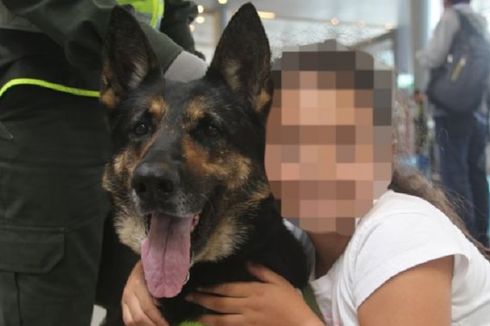 Geng Narkoba Kolombia Beri Rp 1 Miliar untuk Kepala Anjing Pelacak Ini